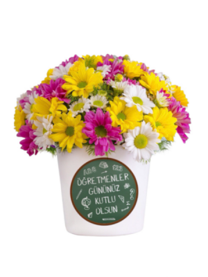 Öğretmeler Günü Renkli Papatya 
